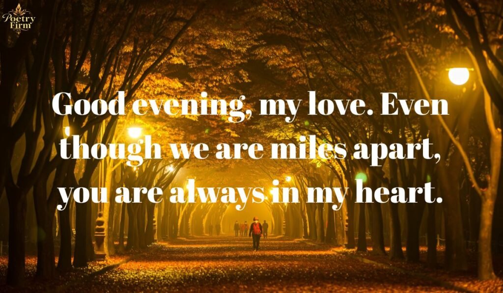 Long-distance Good Evening Messages for Her