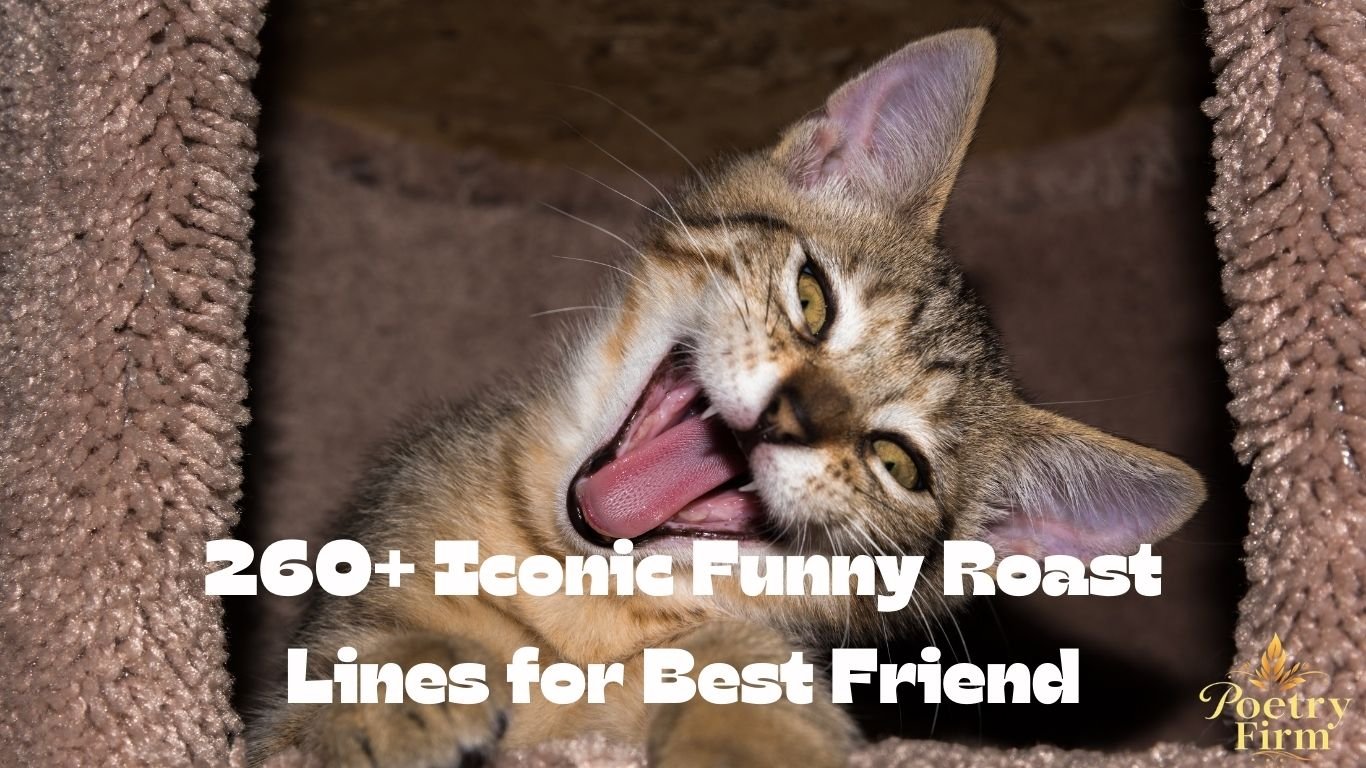 260+ Iconic Funny Roast Lines for Best Friend