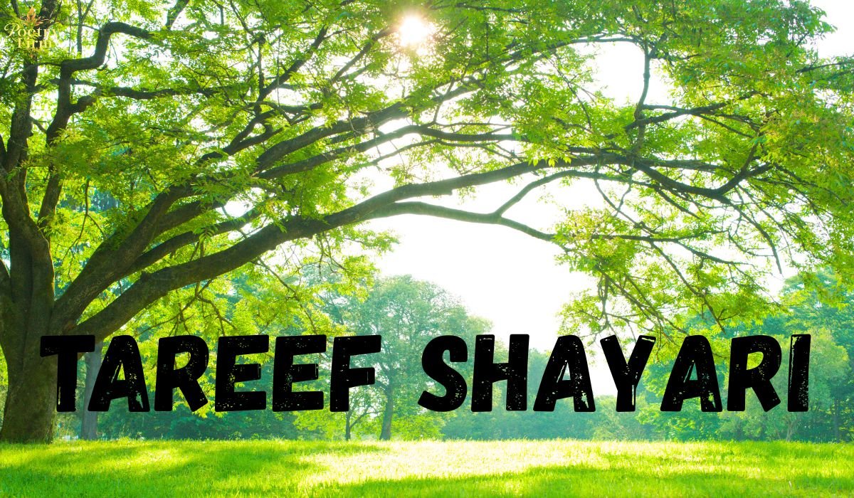 100+ Beautiful Tareef Shayari In English for Sweet Girls