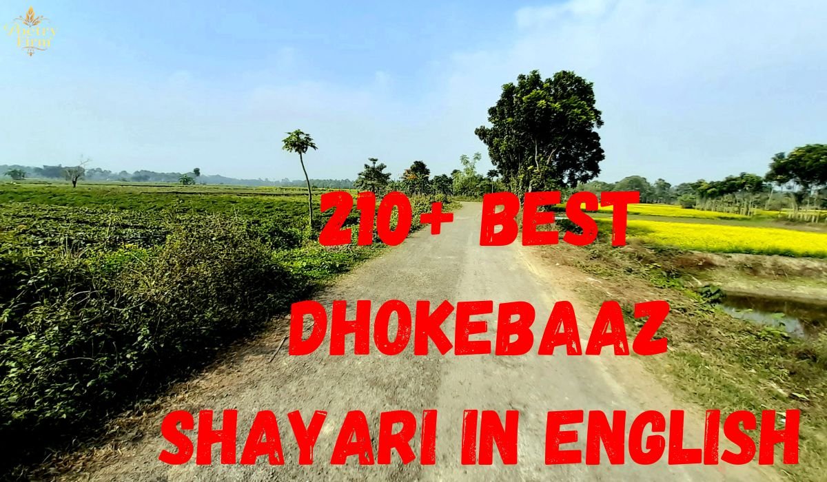 210+ Best Dhokebaaz Shayari in English