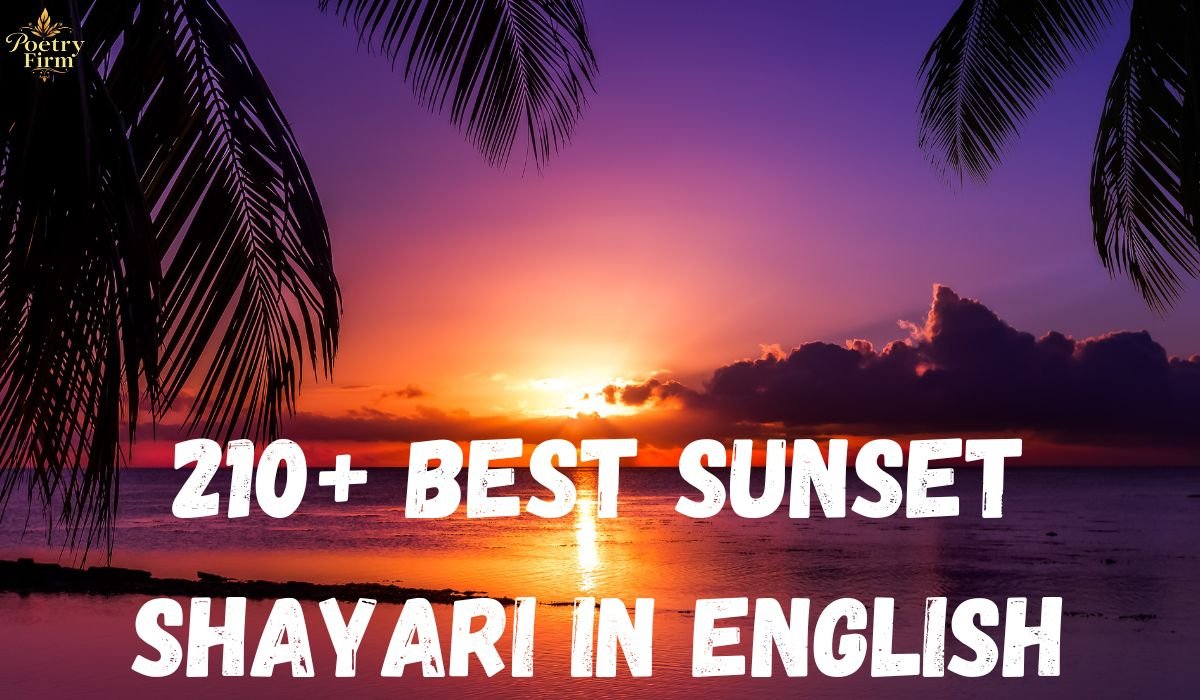 210+ Best Sunset Shayari in English
