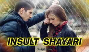 150+Insult Shayari in Hindi